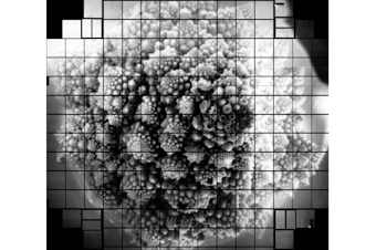 caption: Romanesco broccoli, as seen by a 3.2 billion pixel camera. Scientists chose to take a picture of the broccoli because of its fractal shape.