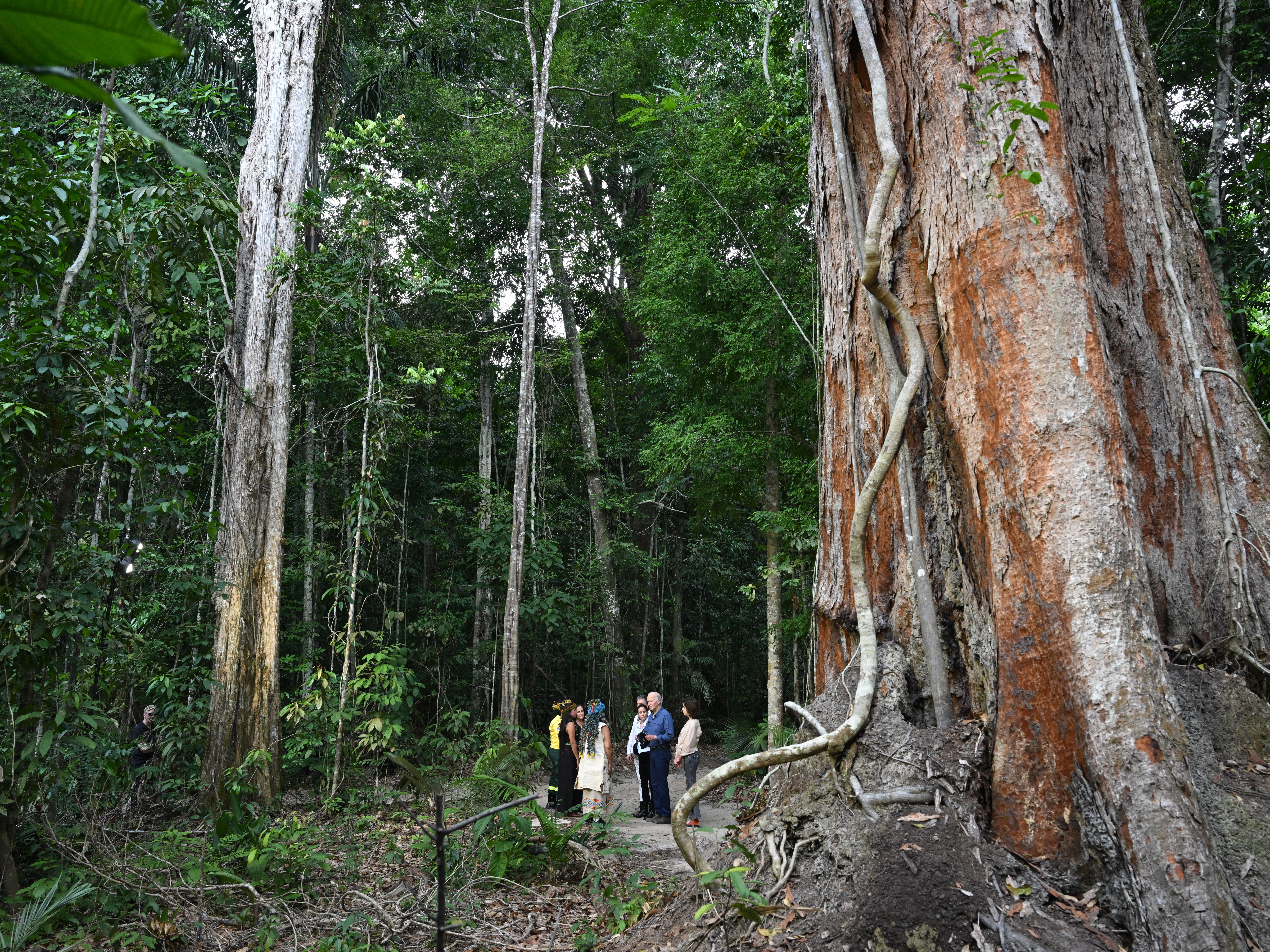 caption: President Biden tours the Museu da Amazonia, a rainforest preserve in Manaus, Brazil, on Nov. 17, 2024, before heading to Rio de Janeiro for the G20 Summit.