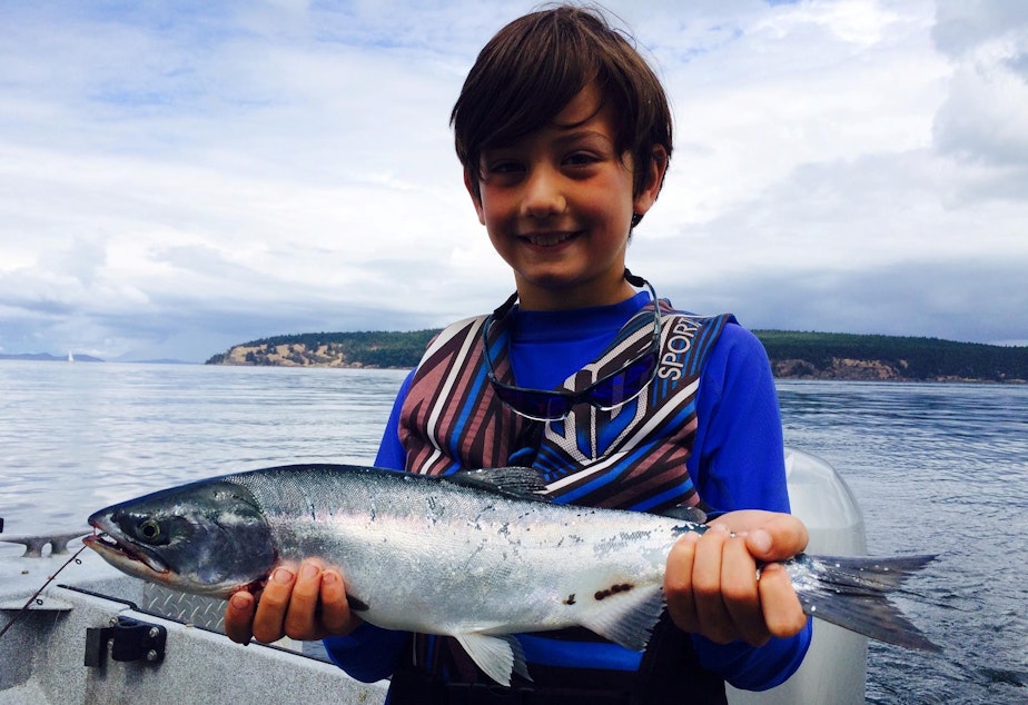 caption: An 8-year-old boy catches a pink salmon in the San Juans off Orcas Island.