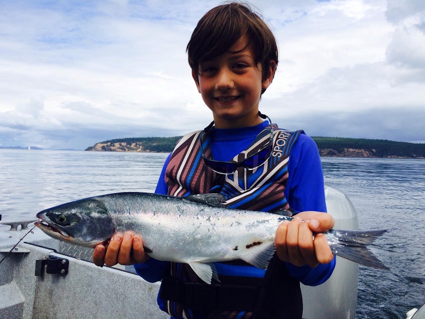 caption: An 8-year-old boy catches a pink salmon in the San Juans off Orcas Island. 