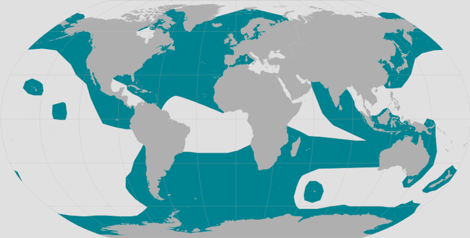 caption: Orcas swim in every ocean in the world (in the blue-colored areas).
