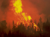 caption: Rob Palmer, whose brother was killed in a wildfire, says the Wildland Firefighter Foundation provides support to families of the fallen. 