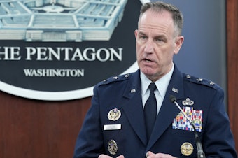 caption: Pentagon spokesman Air Force Brig. Gen. Patrick Ryder speaks during a briefing at the Pentagon on Tuesday.