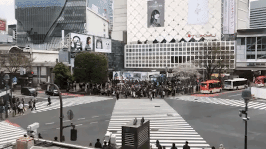 caption: A GIF of the famous Shibuya Crossing in Tokyo, Japan, described as the world's busiest intersection.