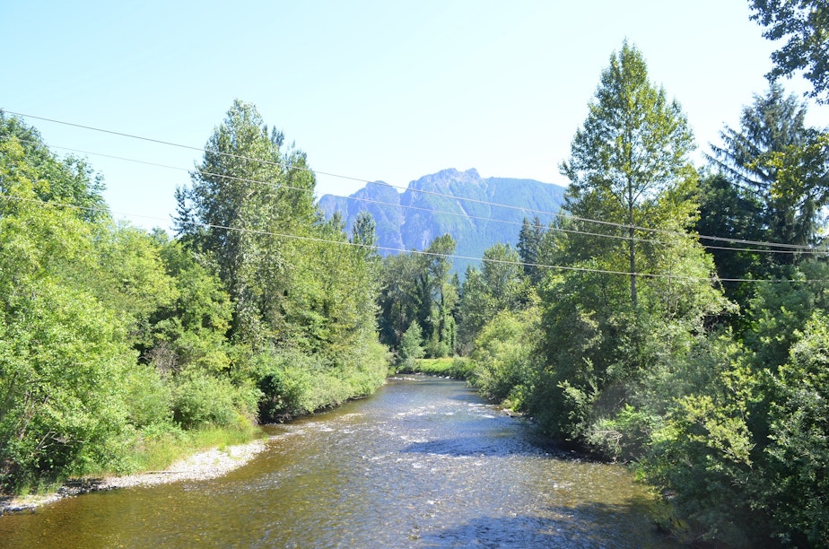caption: The Snoqualmie River is lower than usual this summer, which doesn't bode well for salmon or humans.