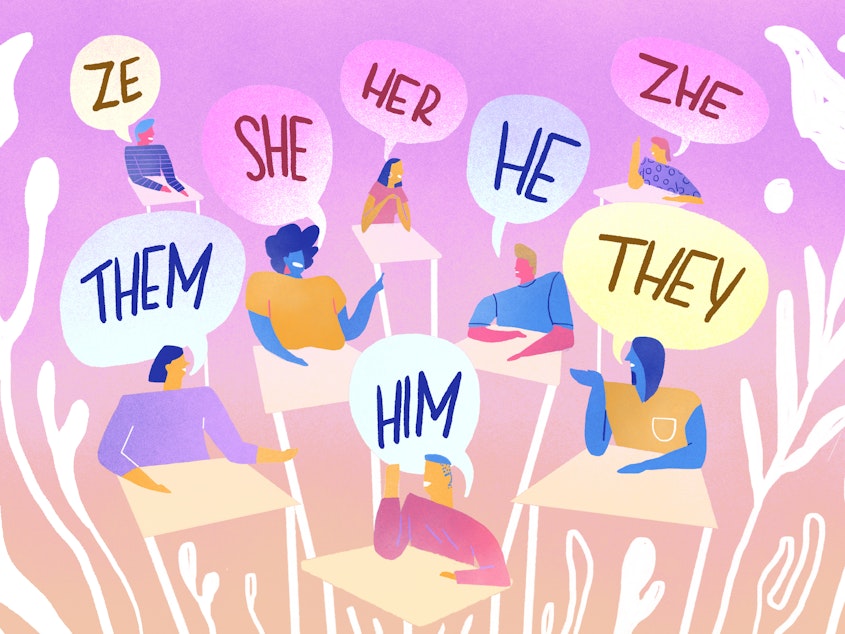 Some colleges now let students input their pronouns into campus data systems.
