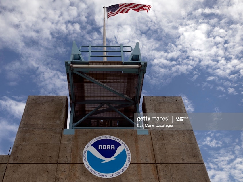 caption: The National Hurricane Center in Miami, Fla., is just one part of the National Oceanic and Atmospheric Agency — the federal agency in charge of the U.S. government's sprawling weather and climate prediction work. NPR has learned that David Legates, a scientist who has spent much of his career questioning climate science, has been hired by the Trump administration for a top position at NOAA.