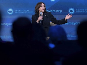caption: Vice President Harris speaks about gun violence during the U.S. Conference of Mayors' winter meeting in Washington on  Jan. 18, 2024.