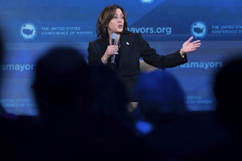 caption: Vice President Harris speaks about gun violence during the U.S. Conference of Mayors' winter meeting in Washington on  Jan. 18, 2024.