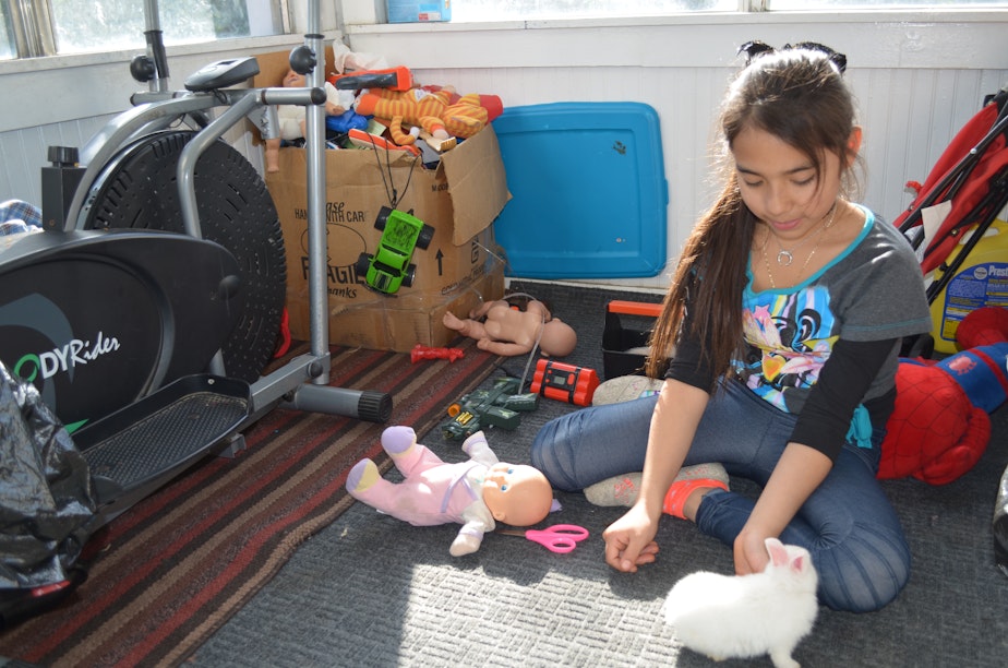 caption: Ten-year-old Azul plays with her pet rabbit at her family's home in Wapato, Washington.