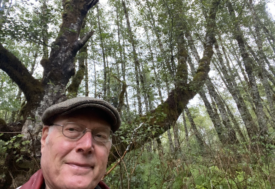 caption: Scientist Wayne Carmichael of Elsie, Oregon, shows off his about-century-old alder and says beyond studying algae, people must decrease their pollutants so blooms don’t overrun water bodies.     