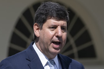 caption: Steve Dettelbach speaks during an event about gun violence in the Rose Garden of the White House on April 11.