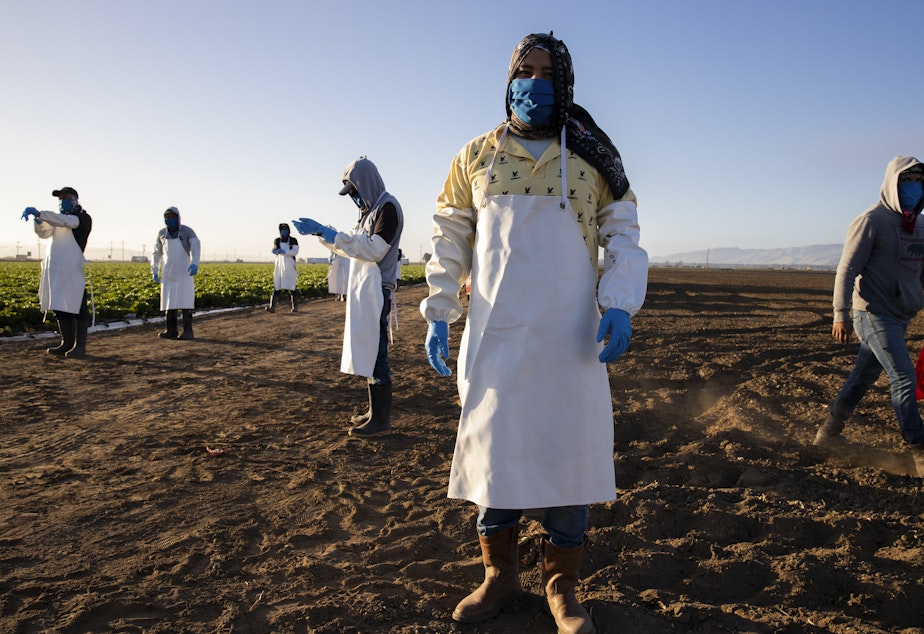 caption: Before massive wildfires broke out in California, farmworkers already had to take extra precautions for COVID-19. Now they must worry about dangerous air from wildfires. In this photo, farmworkers arrive early in the morning to begin harvesting on April 28 in Greenfield, Calif.