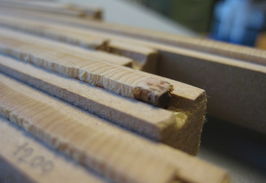 caption: Tree cores from the Mount Baker-Snoqualmie National Forest inside wooden mounts at Western Washington University's tree-ring lab in March 2023.