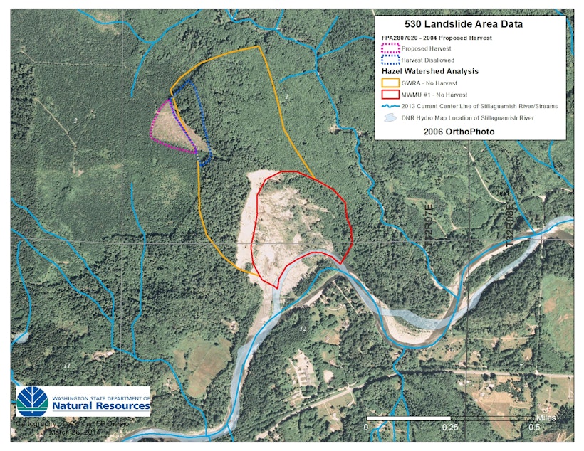 caption: Washington Department of Natural Resources image shows 2004 clear-cut (near dotted purple line) extending into no-logging zone (marked with yellow line) at site of Oso landslide. 