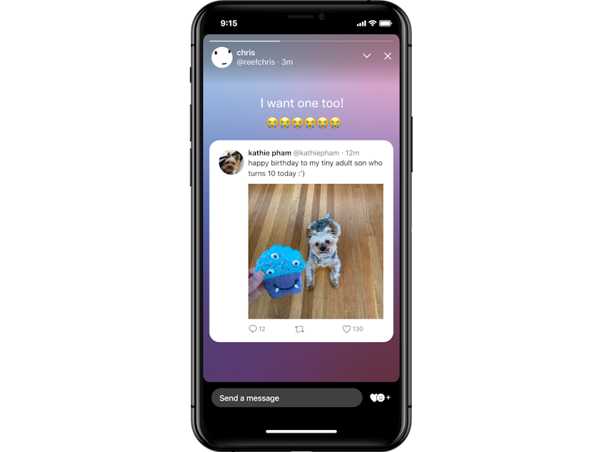 caption: Twitter rolled out its new temporary sharing feature, fleets. Users can share photos, text or even repost tweets in posts that vanish after 24 hours.
