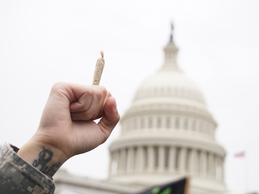 Pro-cannabis activists take part in a rally on Capitol Hill on April 24, 2017 in Washington, DC. (Photo by MANDEL NGAN / AFP) (Photo credit should read MANDEL NGAN/AFP via Getty Images)