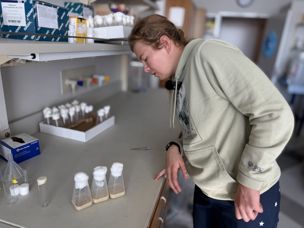 caption: Inside a lab at the University of Utah, Sydney Peterson inspects containers of fruit flies. As part of her doctoral research, the Paralympian is using fruit flies to test the effectiveness of different drugs on certain genetic movement disorders.