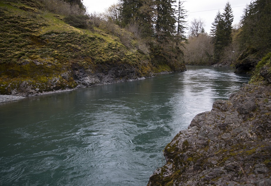caption: The Elwha river is shown on Wednesday, April 13, 2022, near Port Angeles. 