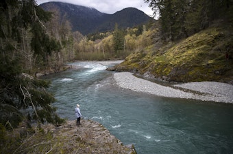 caption: Guide Carolyn Wilcox walks along the Elwha River on Wednesday, April 13, 2022, outside of Port Angeles. 