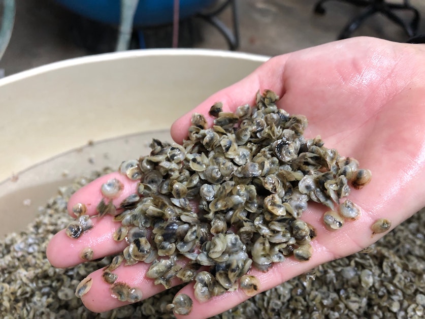 Sat Sep 28, 2019 06:19 PM Sat Sep 28, 2019 06:19 PM