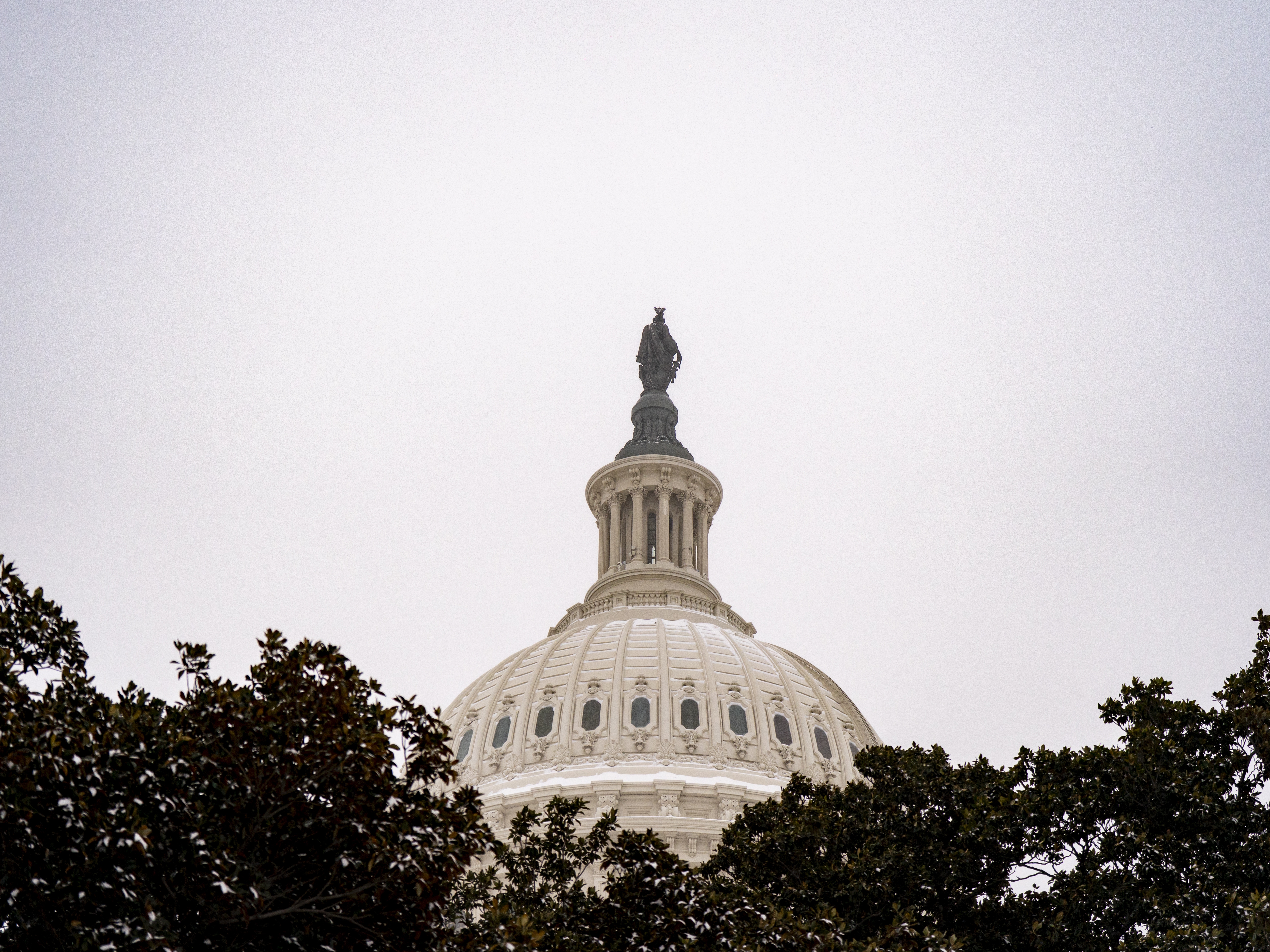 caption: The dome of the U.S. Capitol is framed through a tree on Jan. 25.