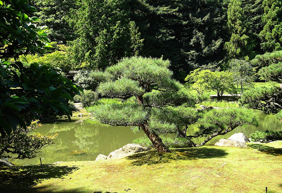 caption: The Japanese Garden in the Washington Park Arboretum, Seattle.