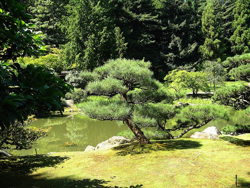 caption: The Japanese Garden in the Washington Park Arboretum, Seattle.