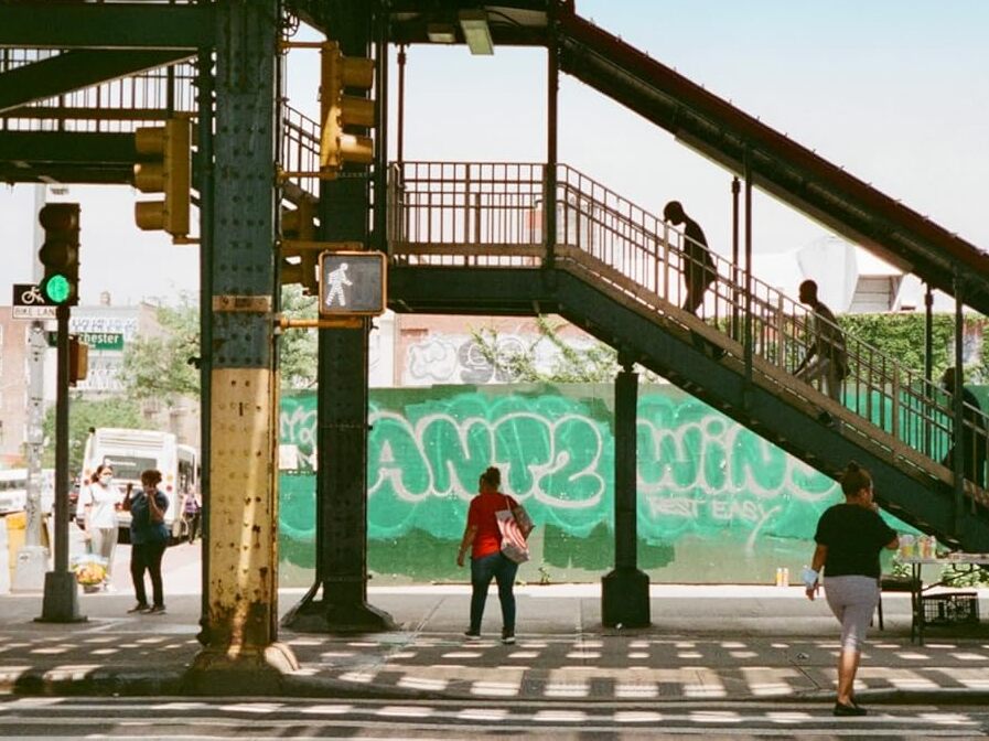 caption: <em> Paradise Bronx</em>