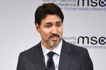 caption: Canadian Prime Minister Justin Trudeau's ban on assault-style weapons will not take full effect for two years.