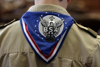 caption: A Boy Scout wears an Eagle Scot neckerchief during the annual Boy Scouts Parade and Report to State in the House Chambers at the Texas State Capitol, February 2013, in Austin, Texas.