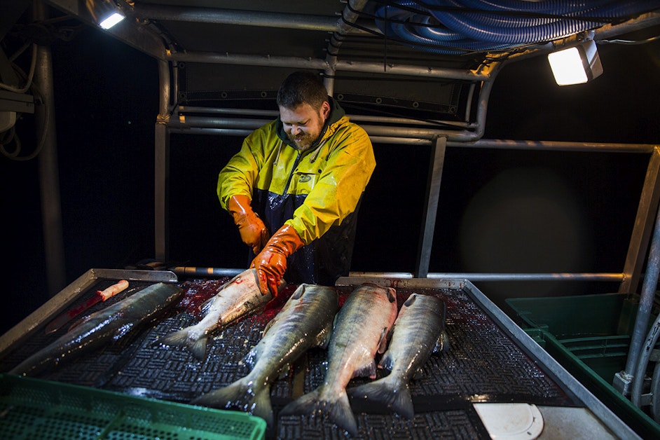 KUOW PHOTOS Fishing at night in downtown Seattle