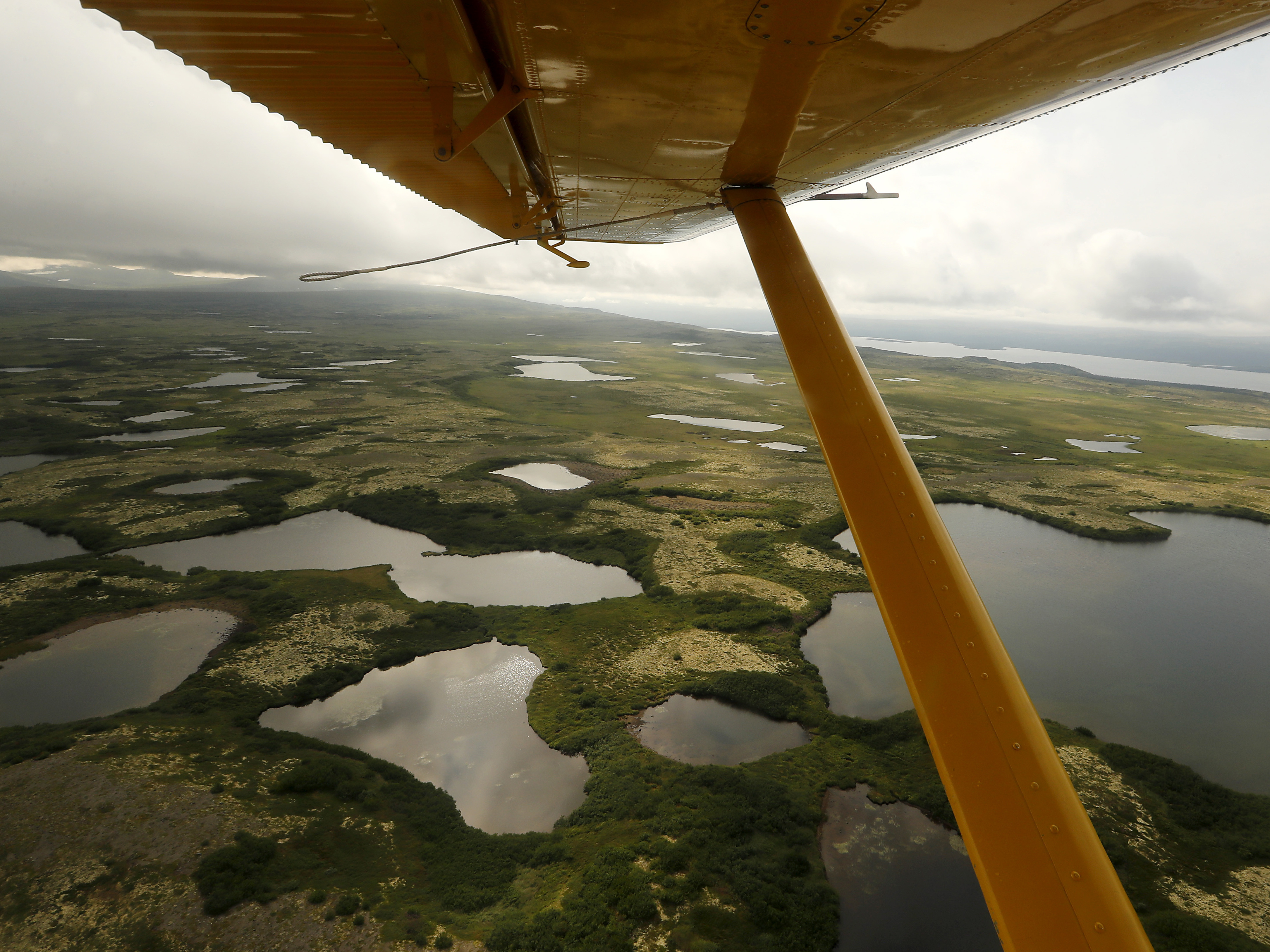 caption: The view beneath the wing of a float plane as it flies over the wetlands, streams and lakes of Bristol Bay, Alaska.