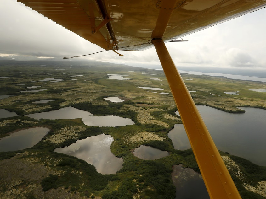 caption: The view beneath the wing of a float plane as it flies over the wetlands, streams and lakes of Bristol Bay, Alaska.