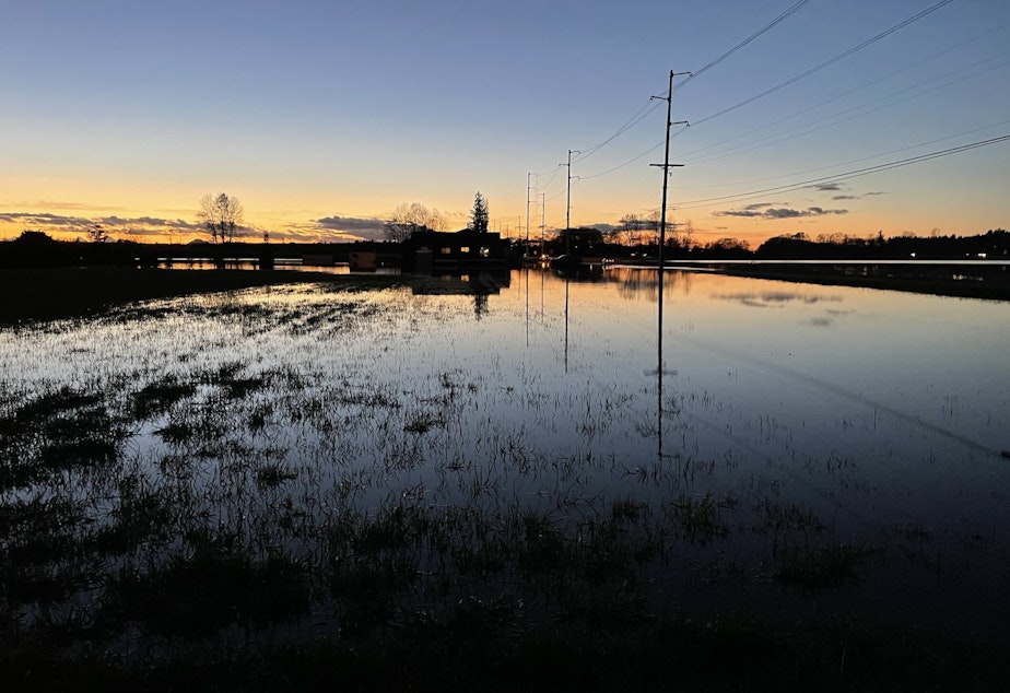 caption: A flooded farm outside of Sedro Woolley on Tuesday November 16, 2021