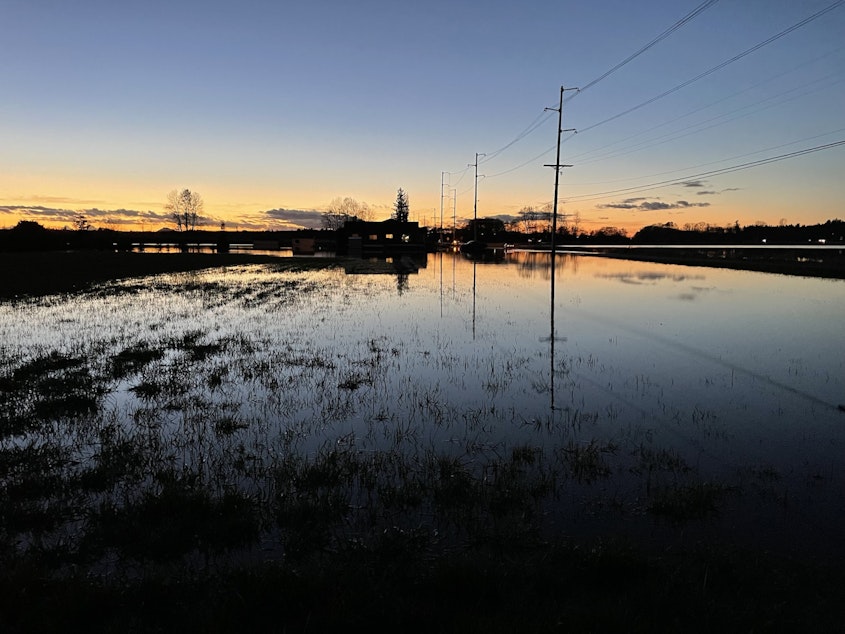 caption: A flooded farm outside of Sedro Woolley on Tuesday November 16, 2021