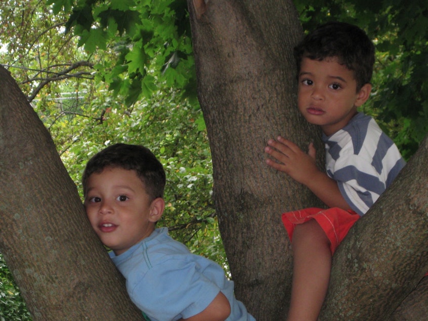 caption: Gavin Muhlfelder (right) and his twin brother James Muhlfelder climbing a tree near their preschool in Seattle, Washington in 2009. 