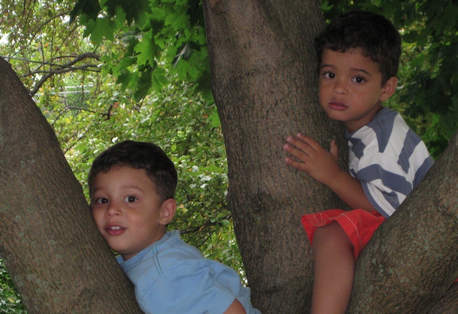 caption: Gavin Muhlfelder (right) and his twin brother James Muhlfelder climbing a tree near their preschool in Seattle, Washington in 2009. 