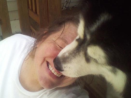 caption: Beverly Pickering goofs around with client Bella the husky. Pickering's dog walking and pet sitting business relies on people traveling. People aren't doing that much these days.