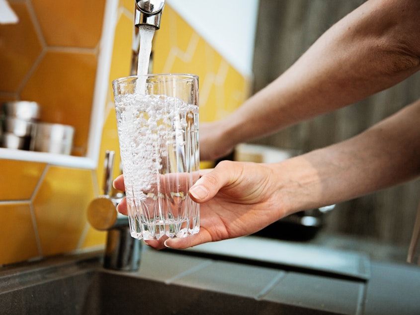 caption: A study conducted in six Canadian cities found a link between maternal consumption of fluoride during pregnancy and intelligence of their offspring.