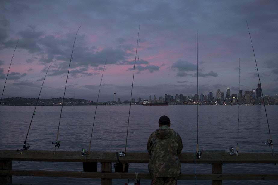 caption: Poles are lined up as people arrive to catch squid on Friday, October 26, 2018, at Seacrest Park Pier in Seattle. 