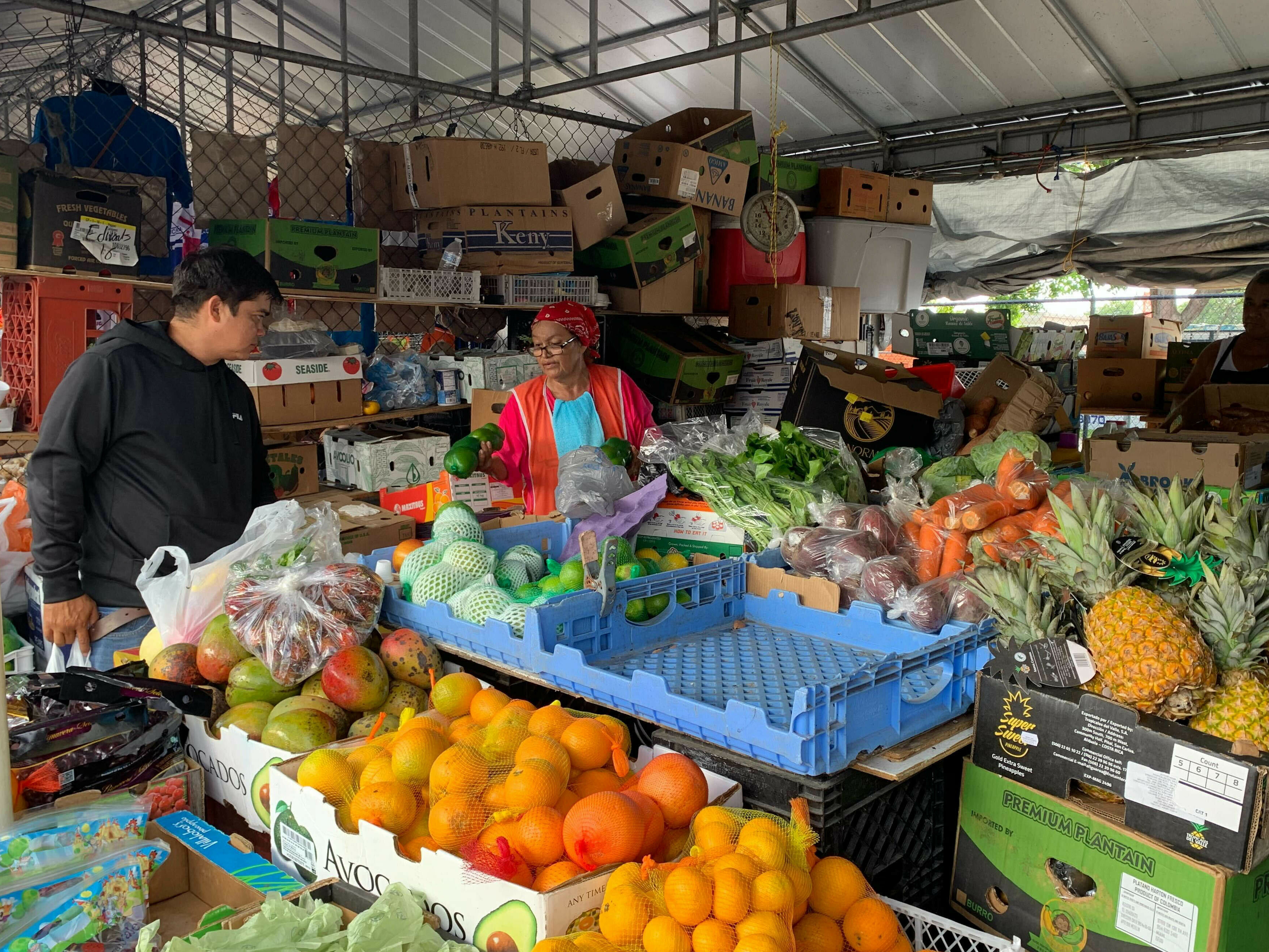 caption: Bessy Hernandez, 73, sells fruits and vegetables at the Tropicana Flea Market produce stand. Hernandez's sales have dropped 40 percent in recent months as a result of the new Florida immigration law.