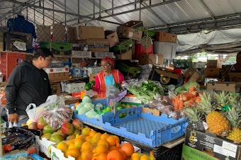 caption: Bessy Hernandez, 73, sells fruits and vegetables at the Tropicana Flea Market produce stand. Hernandez's sales have dropped 40 percent in recent months as a result of the new Florida immigration law.