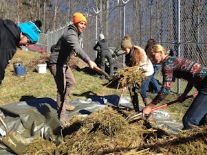 caption: Katrina Spade (orange hat) of the Urban Death Project works with student volunteers to prepare a mulch pile at the Western Carolina University Forensic Osteology Research Center. (Tap on this image for more photos of the burial) 