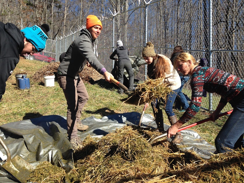 caption: Katrina Spade (orange hat) of the Urban Death Project works with student volunteers to prepare a mulch pile at the Western Carolina University Forensic Osteology Research Center. (Tap on this image for more photos of the burial)