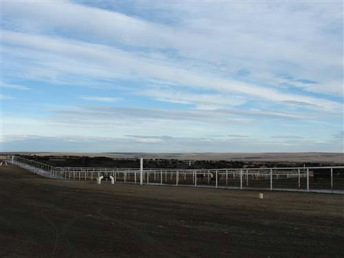KUOW - Cattle Wars: Amid Lawsuit, WA's Easterday Ranches Sells Big Feed Property To Tyson Competitor - Vimarsana News