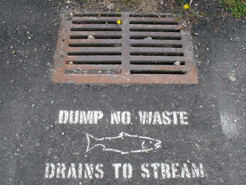 caption: Drain stencil, Broadview neighborhood in northwest Seattle.  Part of an effort by Seattle Public Utilities and creek advocates to protect water quality in the urban streams.