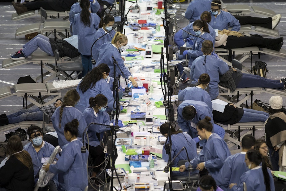 caption: File: Patients receive dental care during the Seattle/King County Clinic on Thursday, October 26, 2017, at Key Arena in Seattle. 