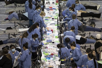 caption: File: Patients receive dental care during the Seattle/King County Clinic on Thursday, October 26, 2017, at Key Arena in Seattle. 