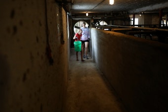 caption: Eve Clark, 10, and Maggie Berry, 17, help with chores at Vision Aire Farms. They are seen in the barn, adjacent to the milking parlor.